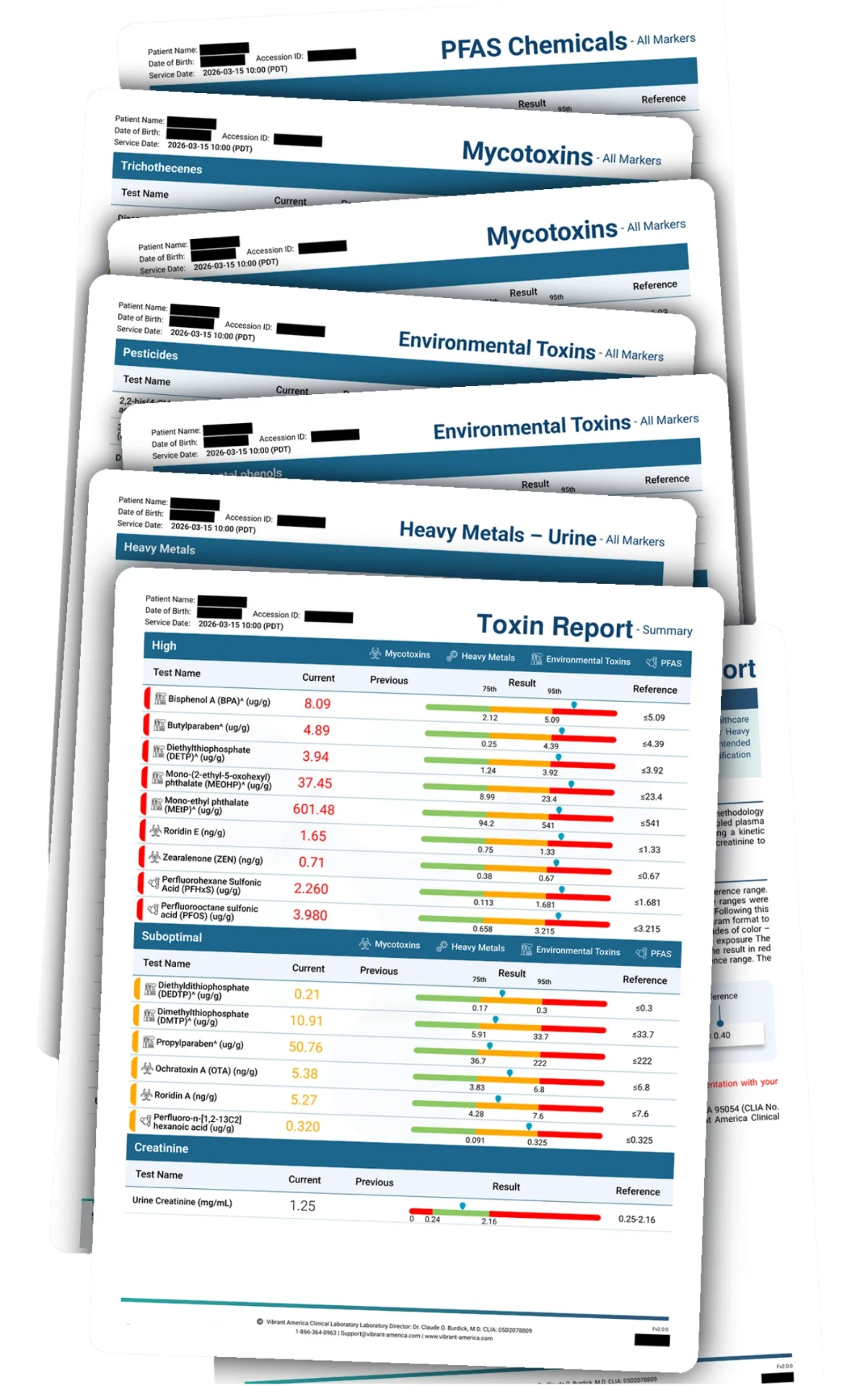 Sample redacted toxic burden report showing PFAS, mycotoxins, environmental toxins, and heavy metals